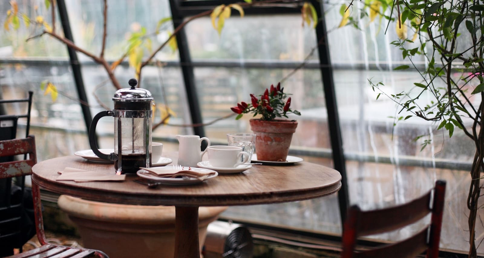 French Press 101 26 Tips From Professional Baristas